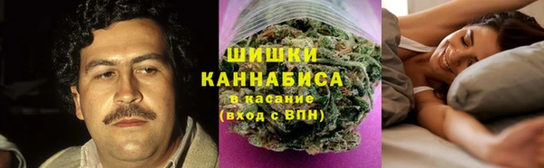 тгк Верея