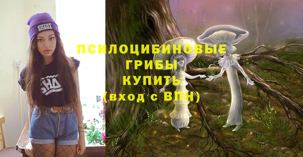 тгк Верея