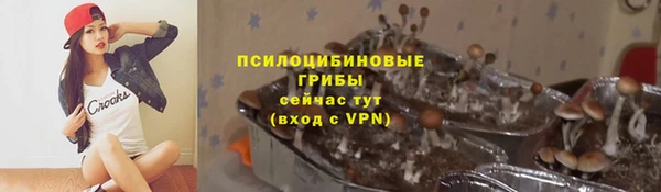 mdpv Верхний Тагил