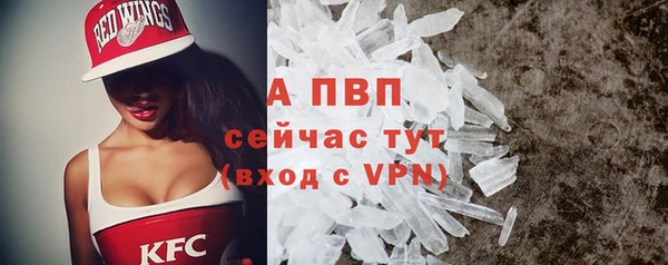 тгк Верея