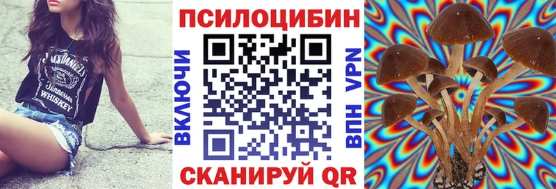 Галлюциногенные грибы GOLDEN TEACHER Купить где Когалым