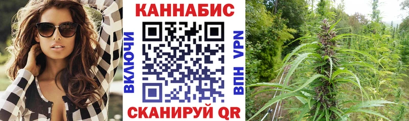 Купить закладки  Когалым  МАРИХУАНА сатива 
